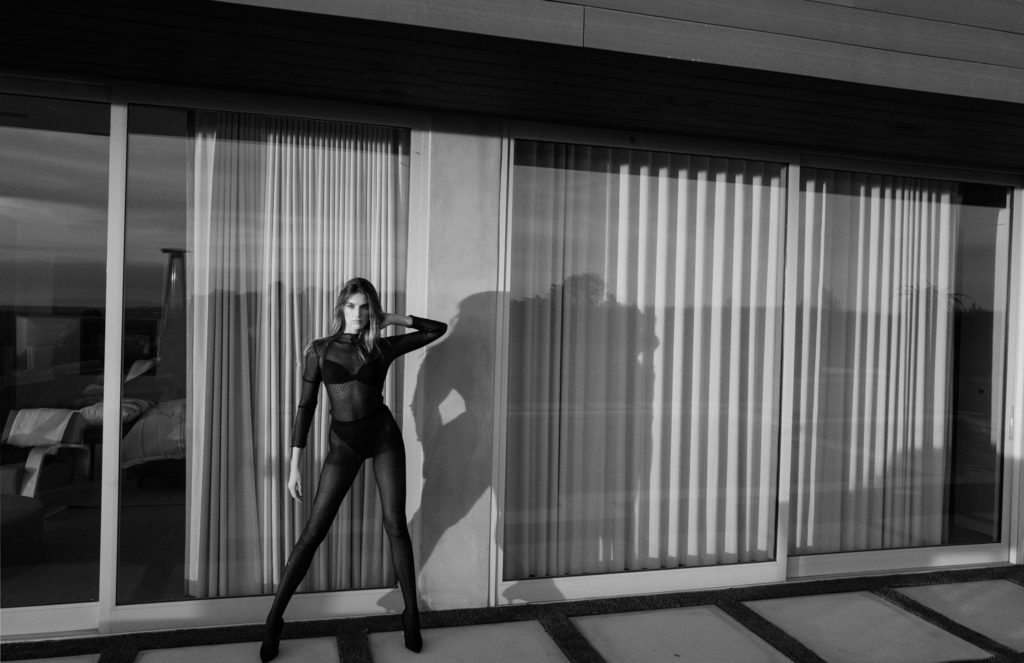 L1140094 1024x663 - IN THE HOLLYWOOD HILLS